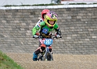 921H7679 bmx-tc-11-9-21